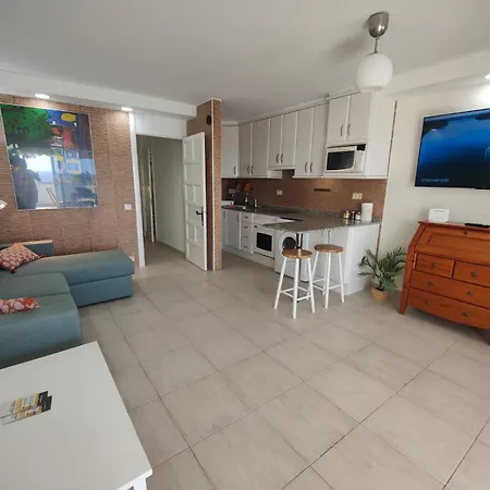 Ocean View Terrace Apartmán San Agustín